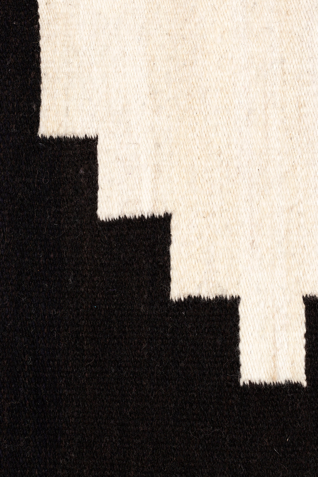 Carlota Pasillo | Black & Natural