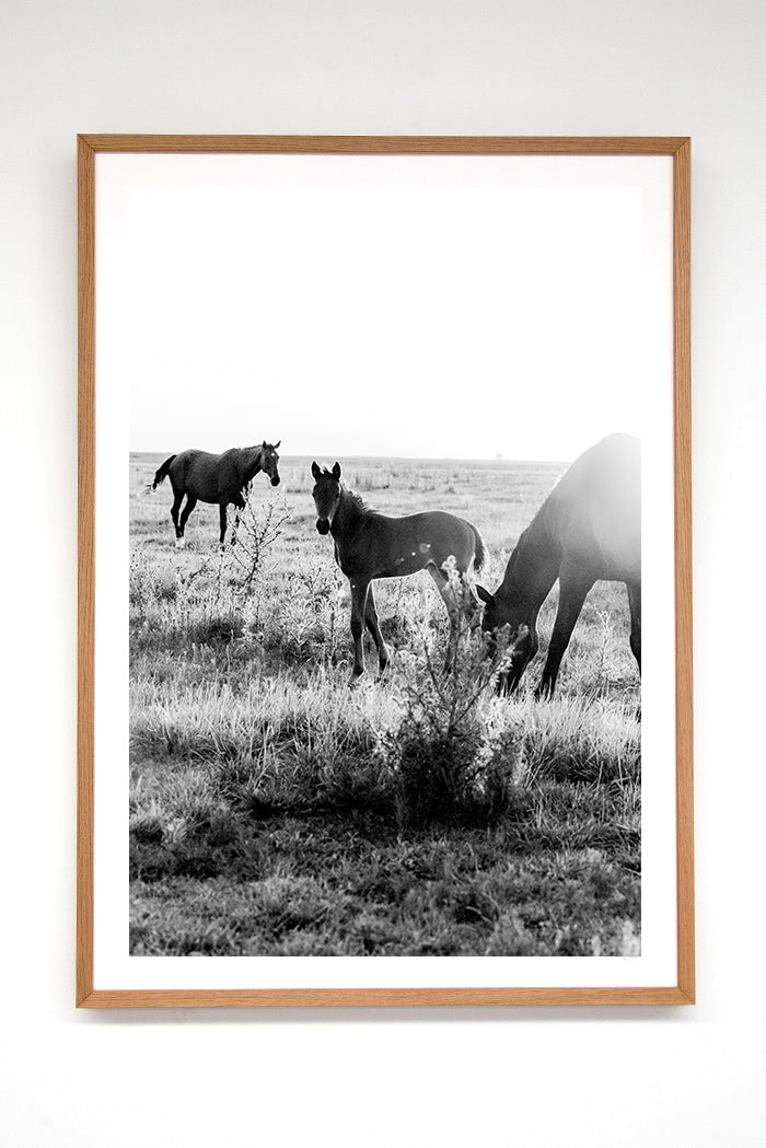 New Born II