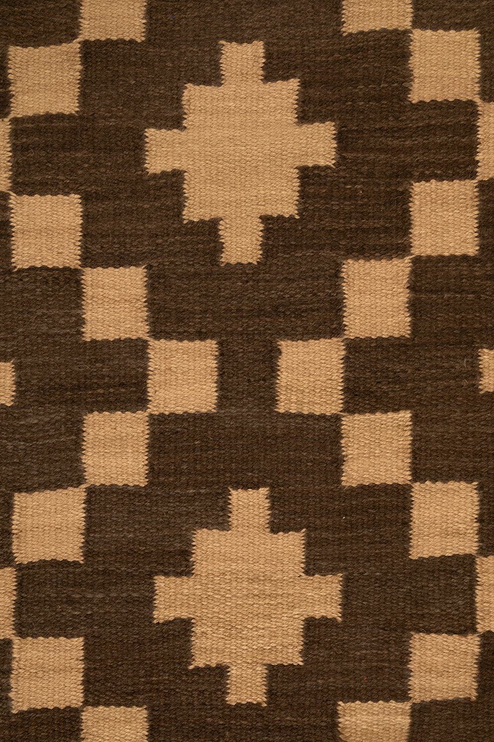 Antonia | Café & Camel