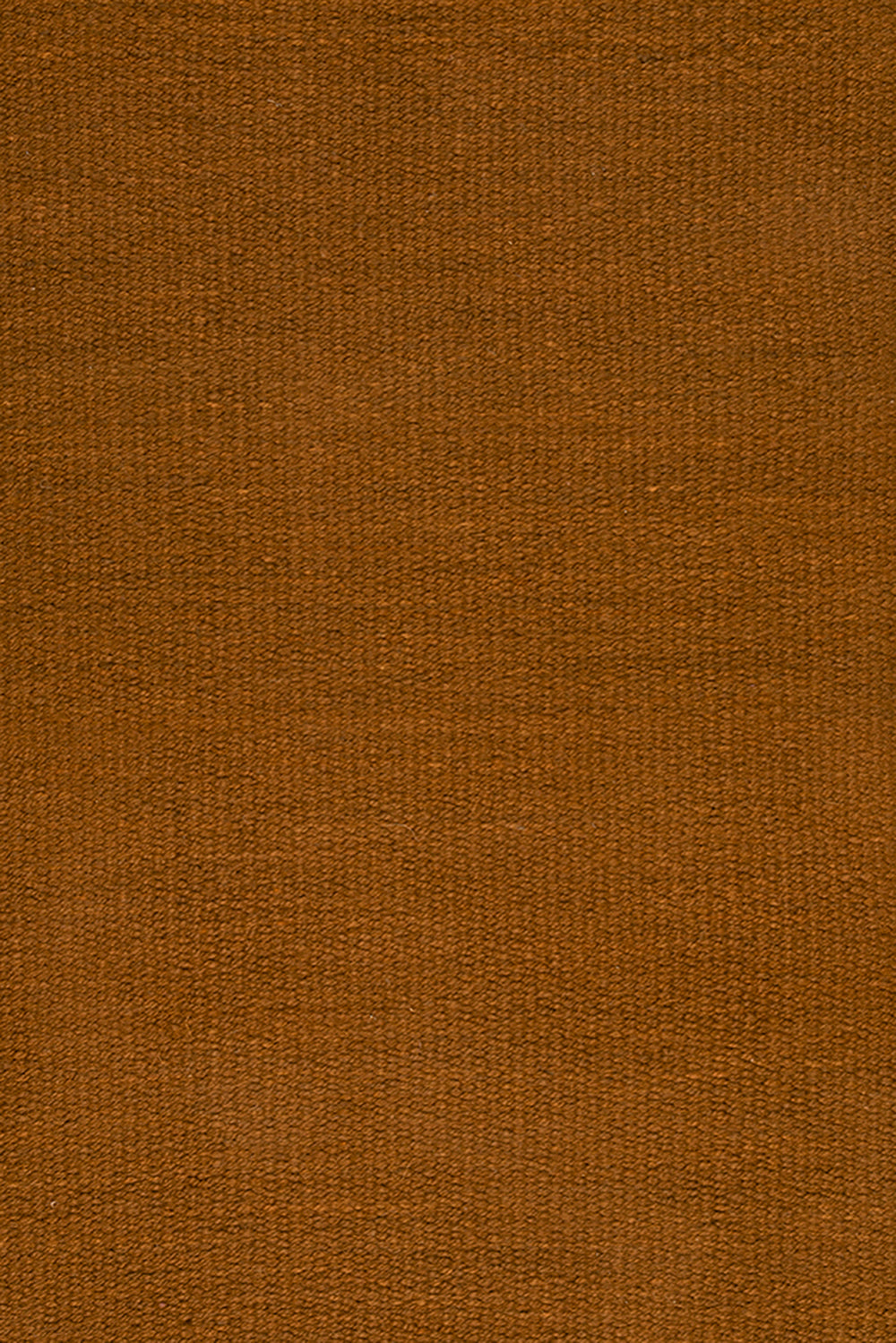 Clásica Fina | Tostado