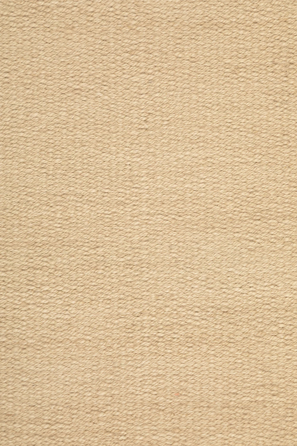 Clásica Fina | Beige