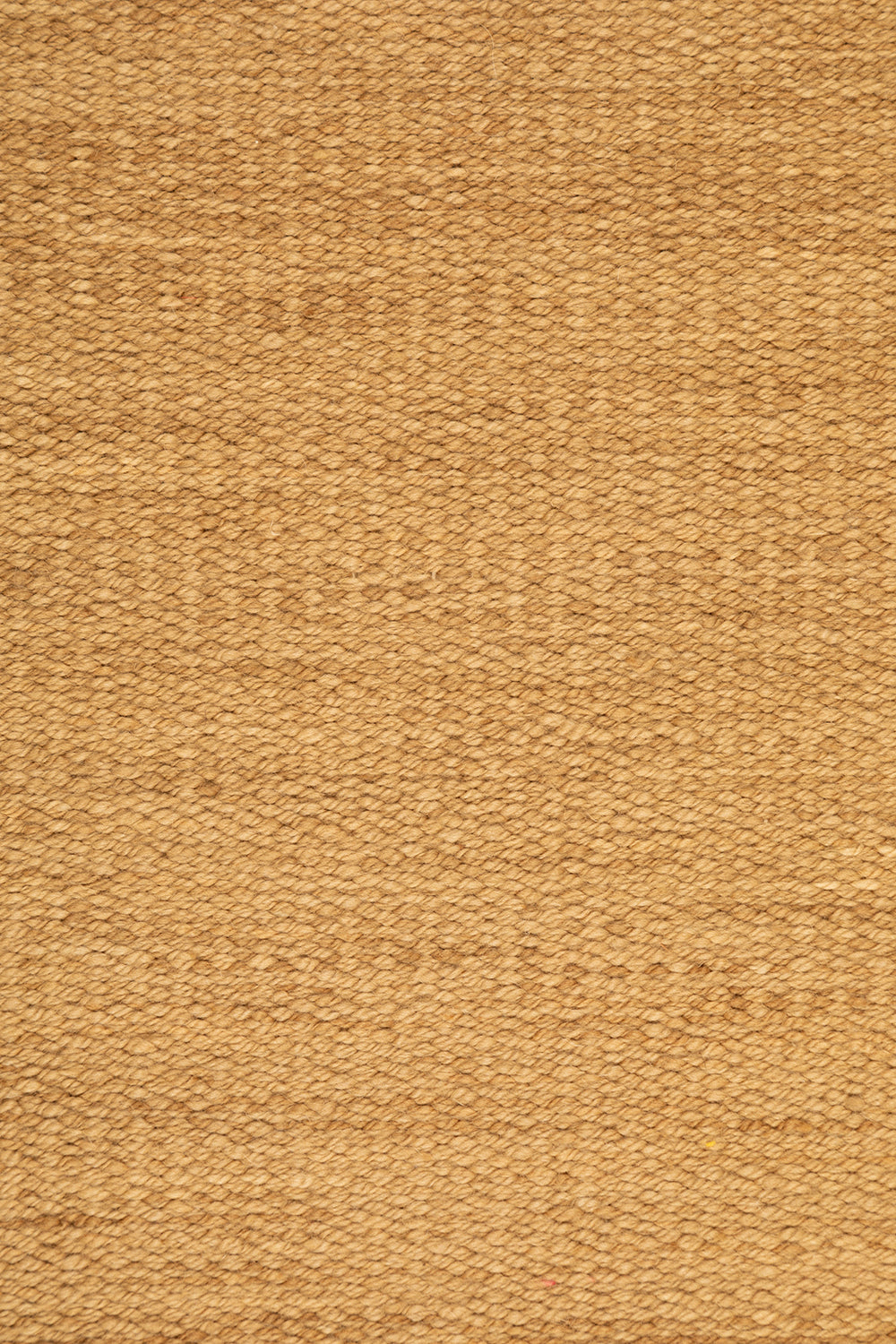 Clásica Fina | Camel