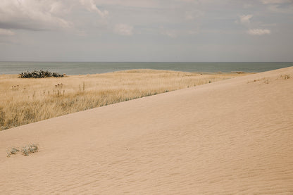 Atlantico #29