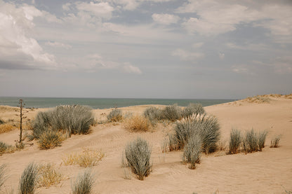 Atlantico #30