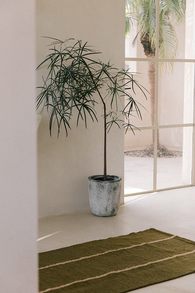 Forma #3 Pasillo | Oliva & Camel