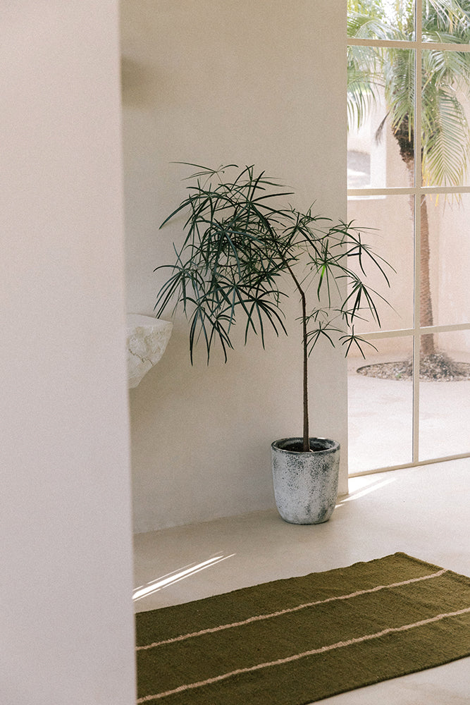 Forma #3 Pasillo | Oliva & Camel