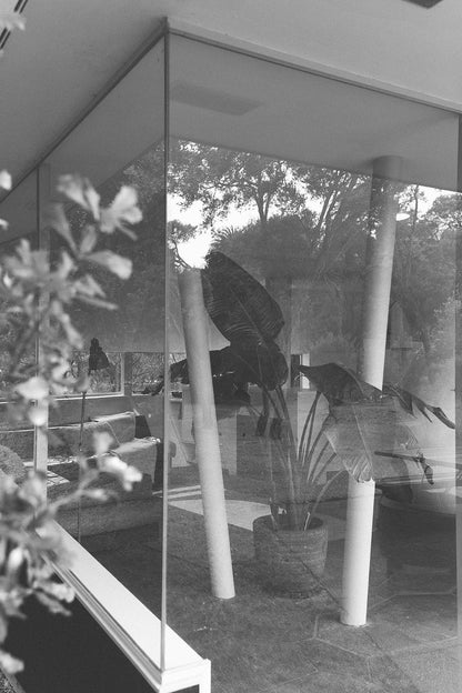 Haus #3 | Oliva & Natural