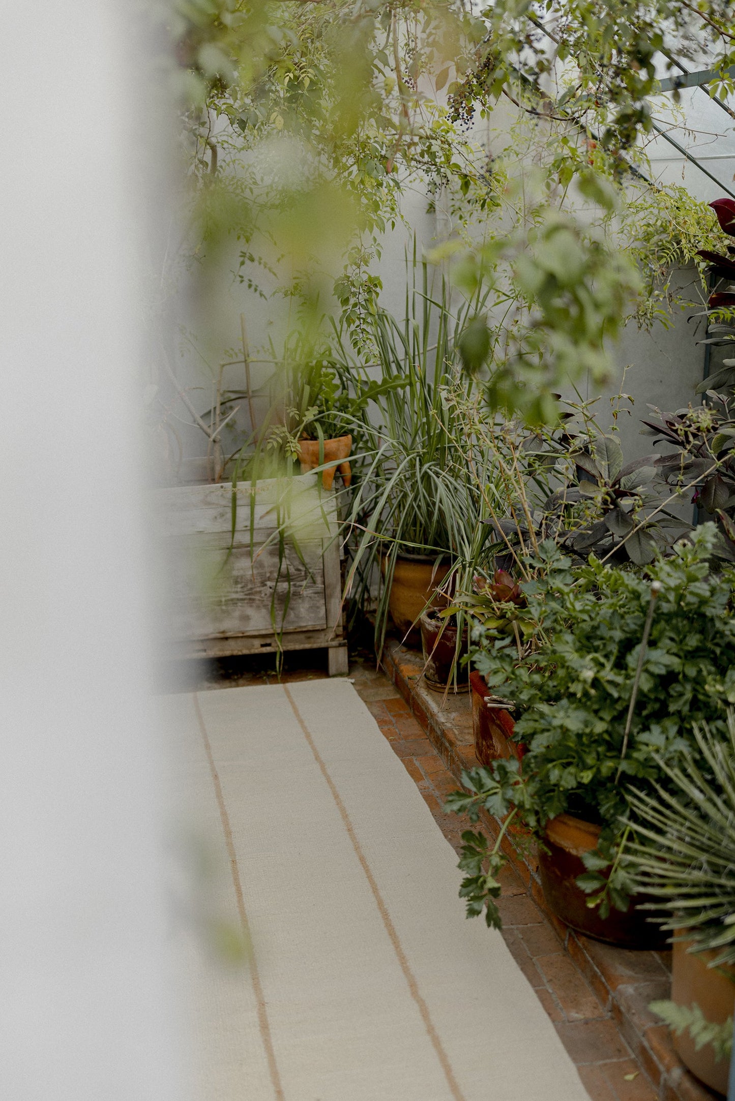 Forma #3 | Beige & Camel