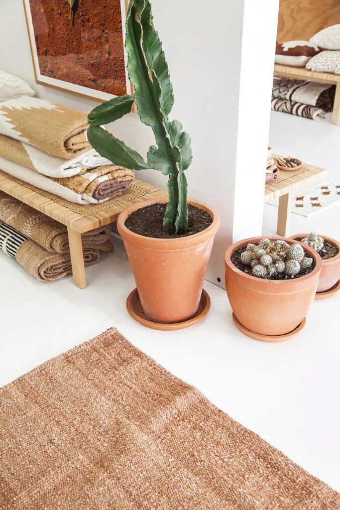 Clásica Pasillo | Rosa Viejo