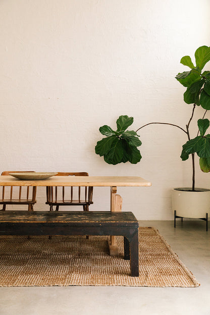 Lara | Latte & Arena