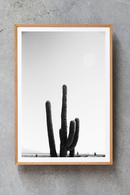 Cactus #30