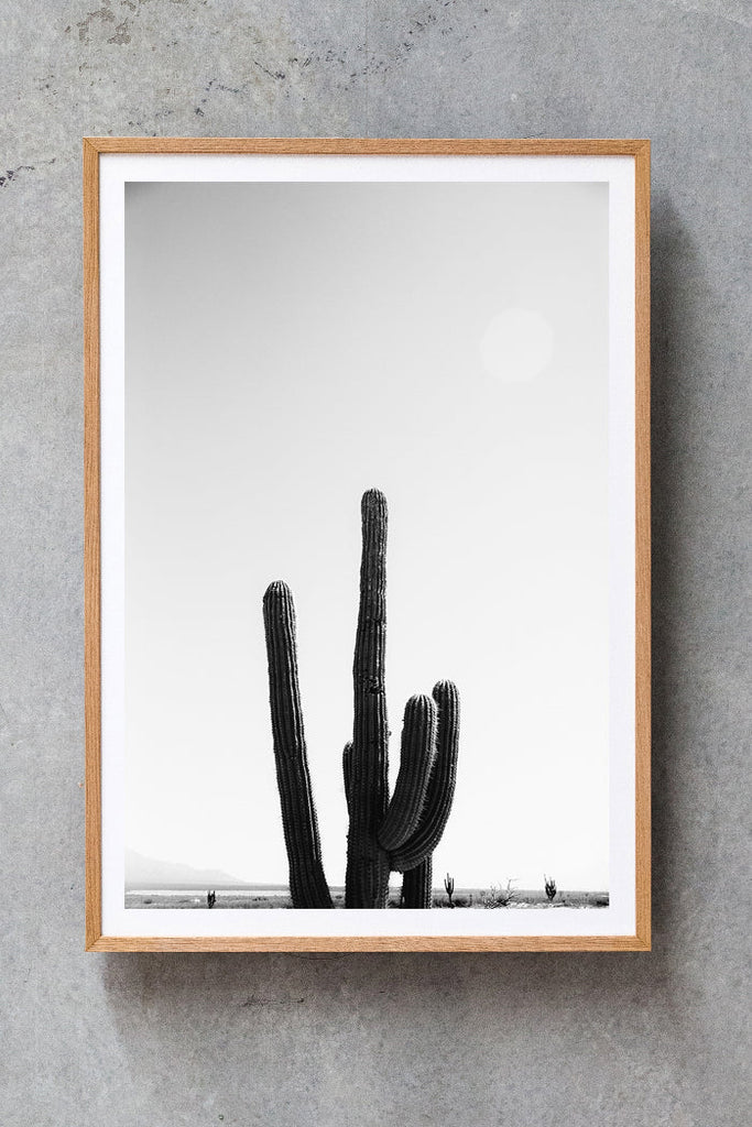 Cactus #30