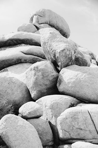 Mojave #2 B&W