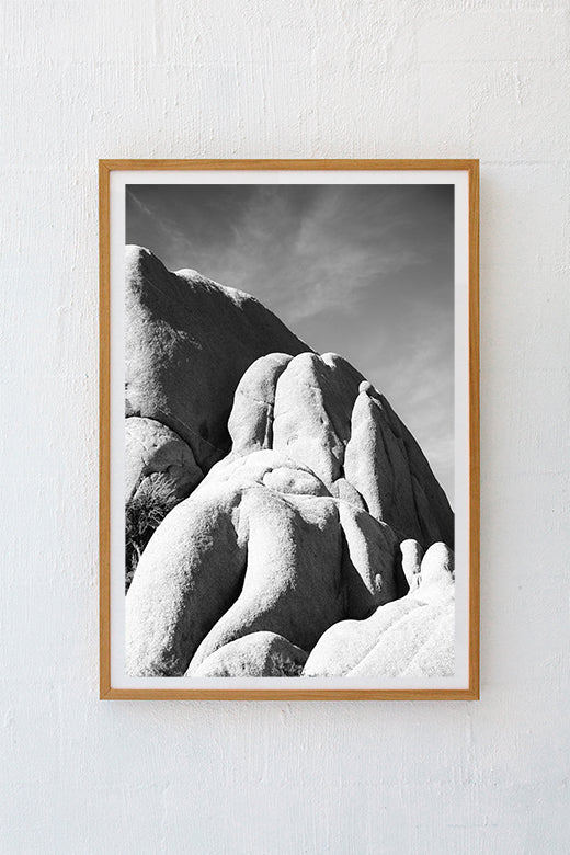 Mojave #6