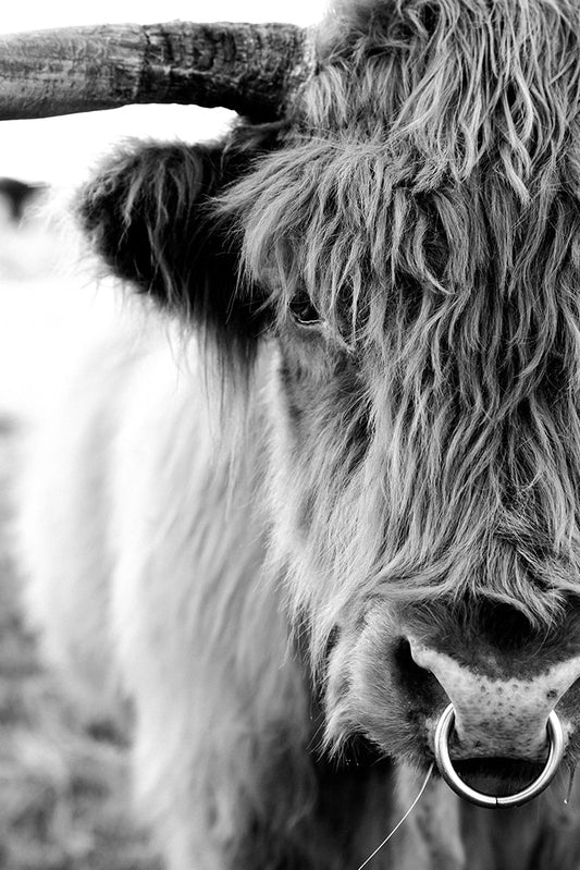 Fringe Texture B+W