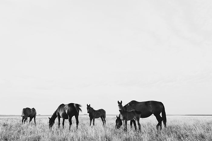 Generations