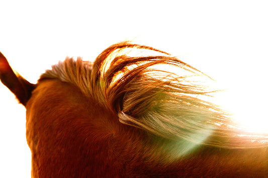 Gently Swept