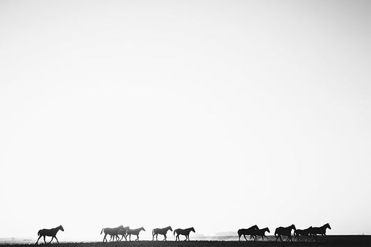 Into The Horizon II