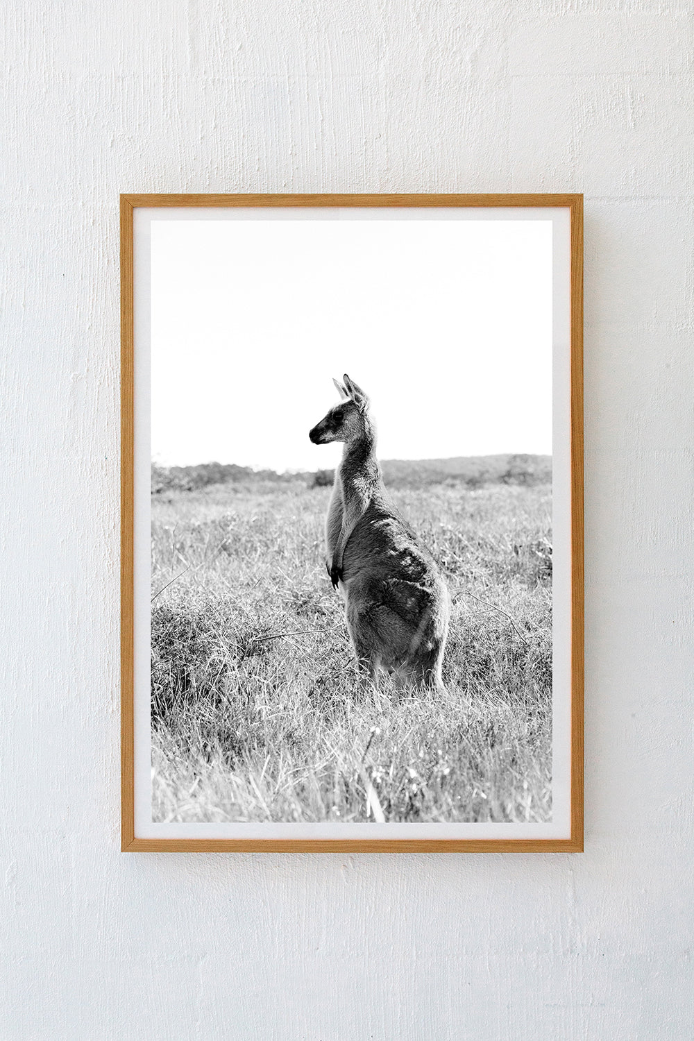 Kangaroos #28