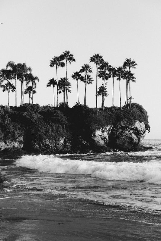 California #13 B&W