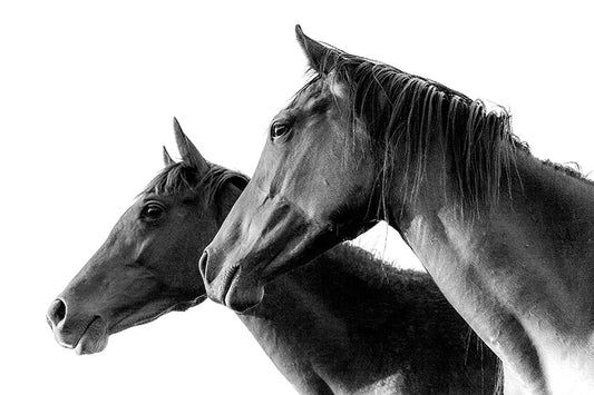 Together