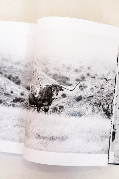 West: The American Cowboy