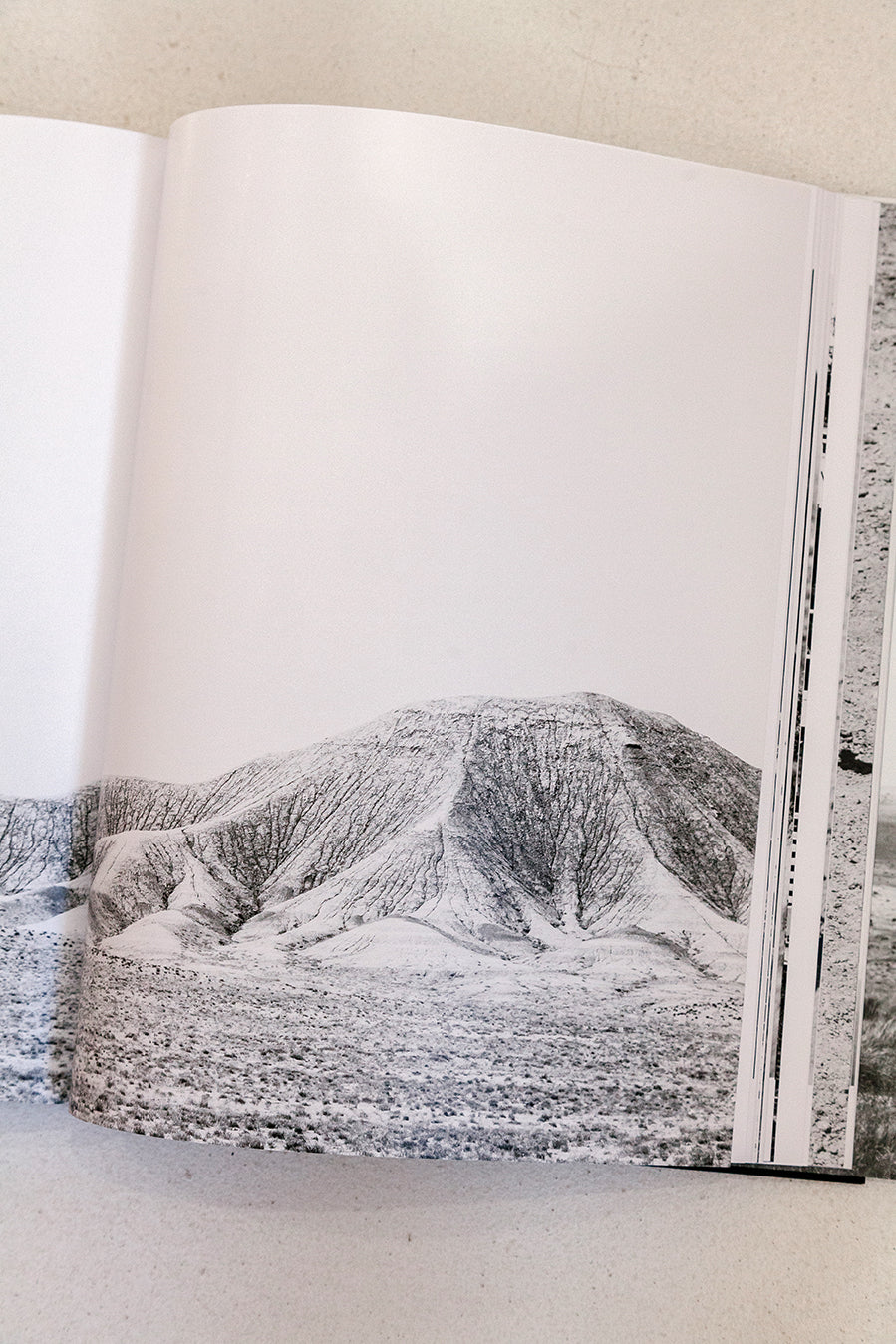 West: The American Cowboy