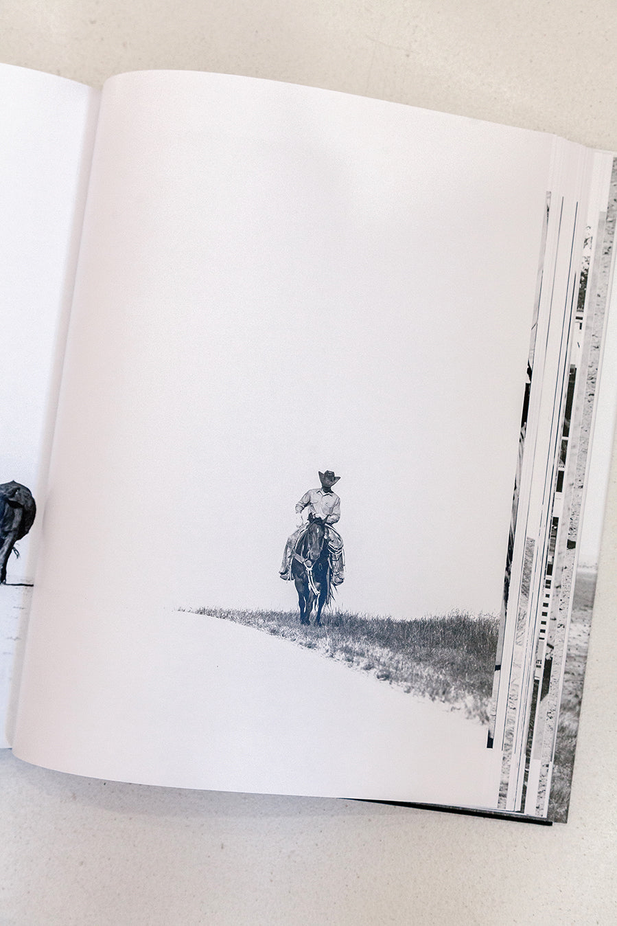 West: The American Cowboy