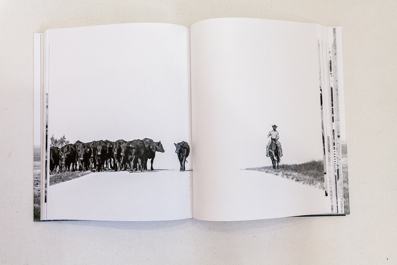 West: The American Cowboy