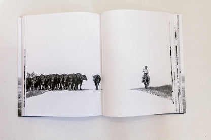 West: The American Cowboy