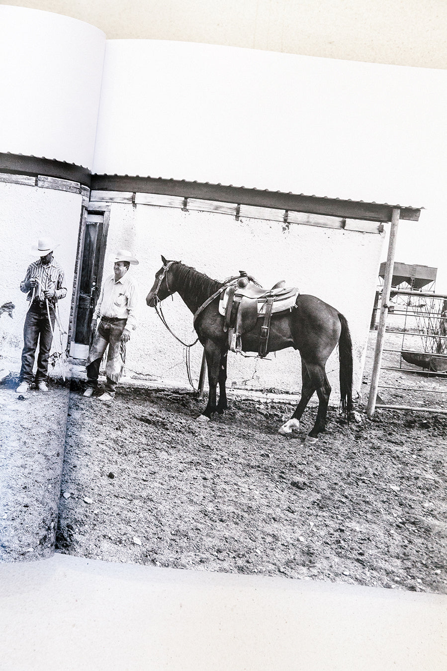 West: The American Cowboy