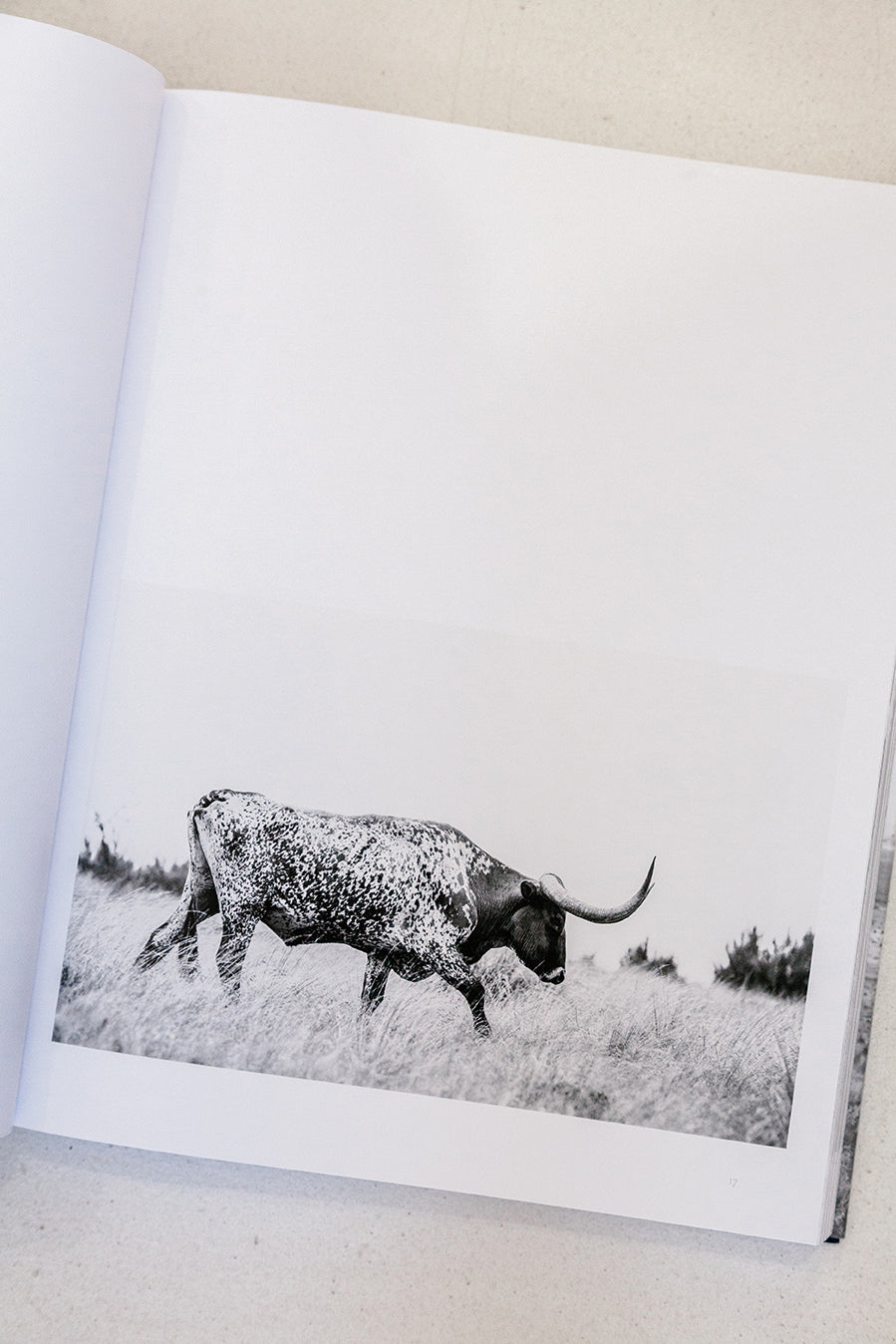 West: The American Cowboy