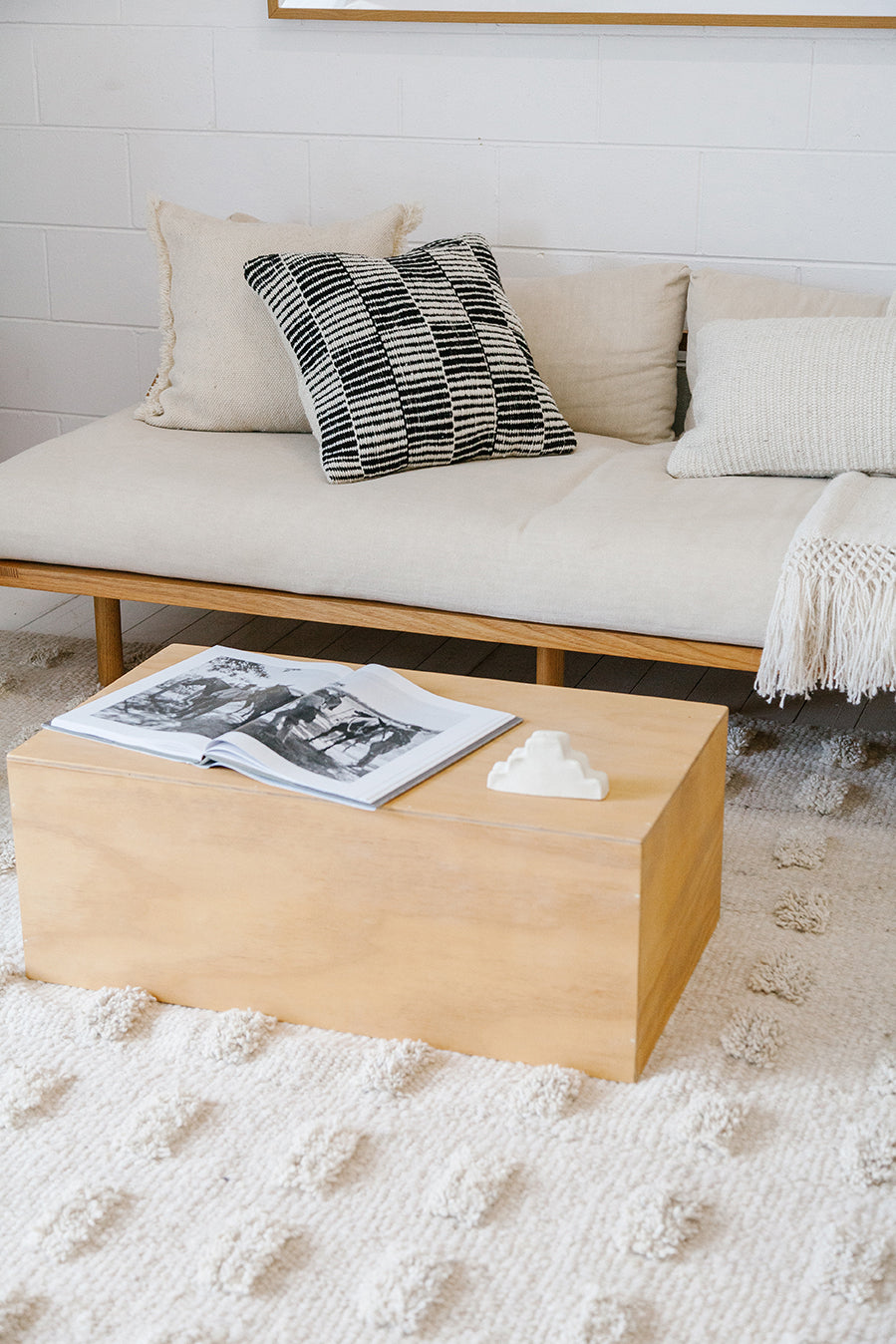 Almohadón Lara | Natural & Negro