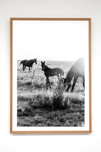 New Born II