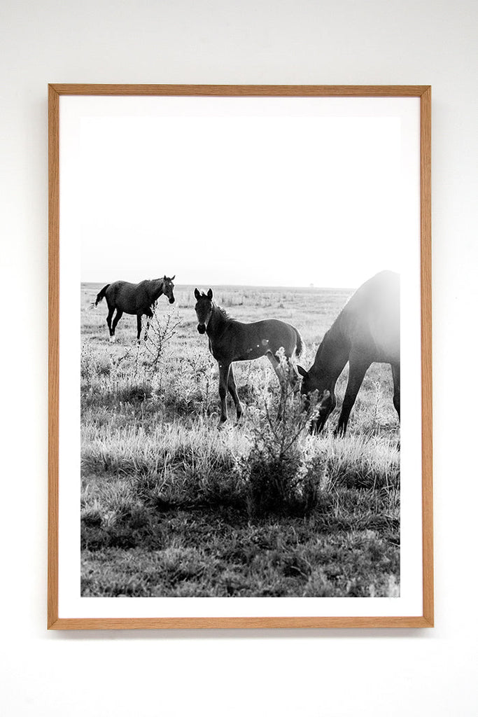 New Born II