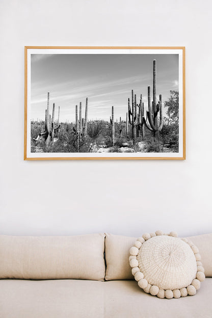 Saguaro #2