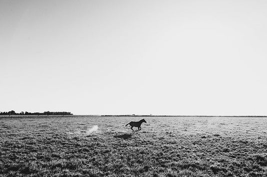 Solitude