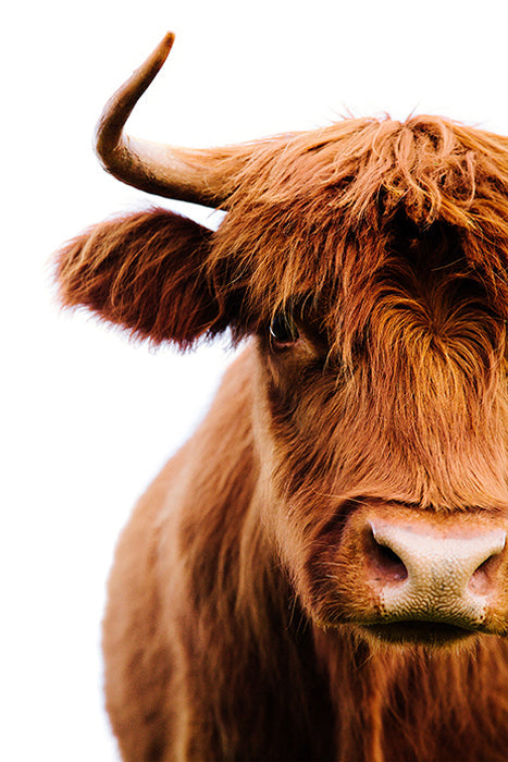 Straight Back at You