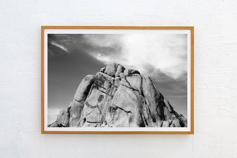 Mojave #5