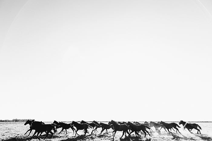 Troop