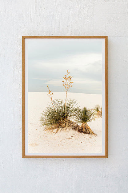White Sands #19