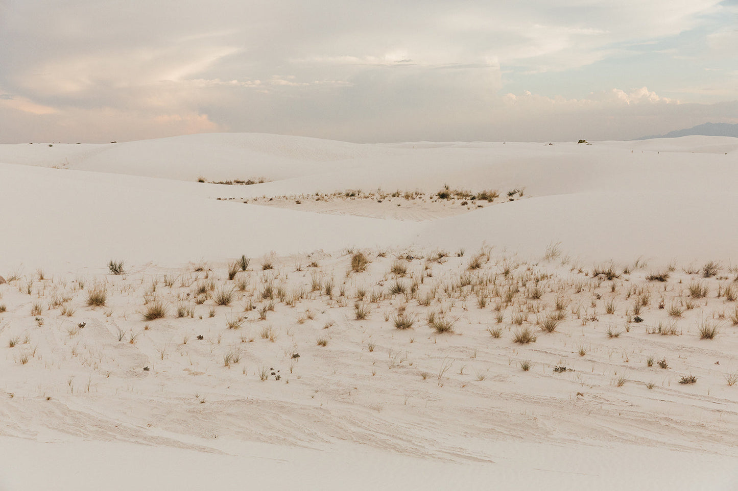 White Sands #1