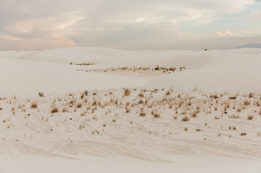 White Sands #1