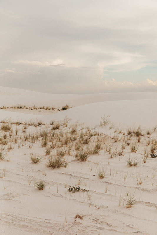 White Sands #2