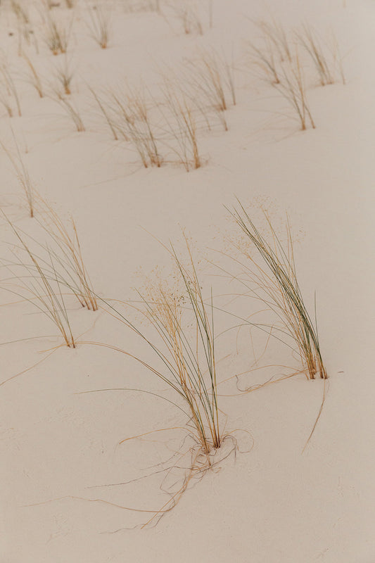 White Sands #4